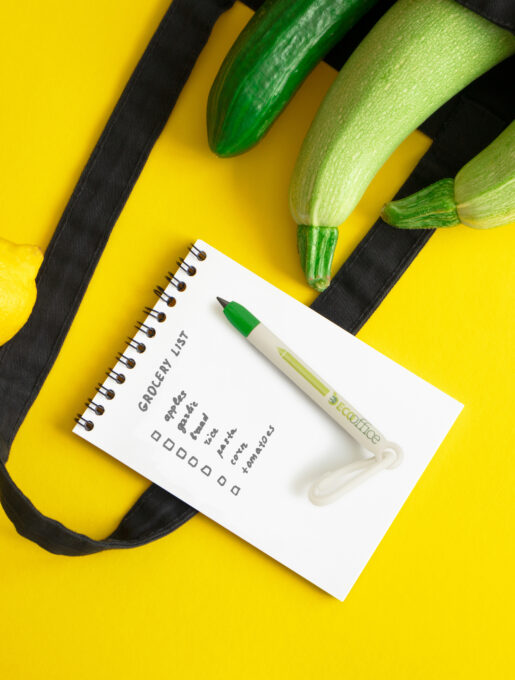 EcoScribe – Mini